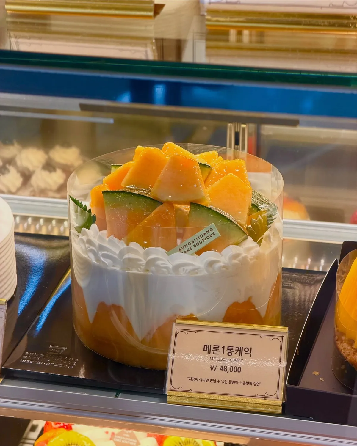 성심당 부띠끄 신작