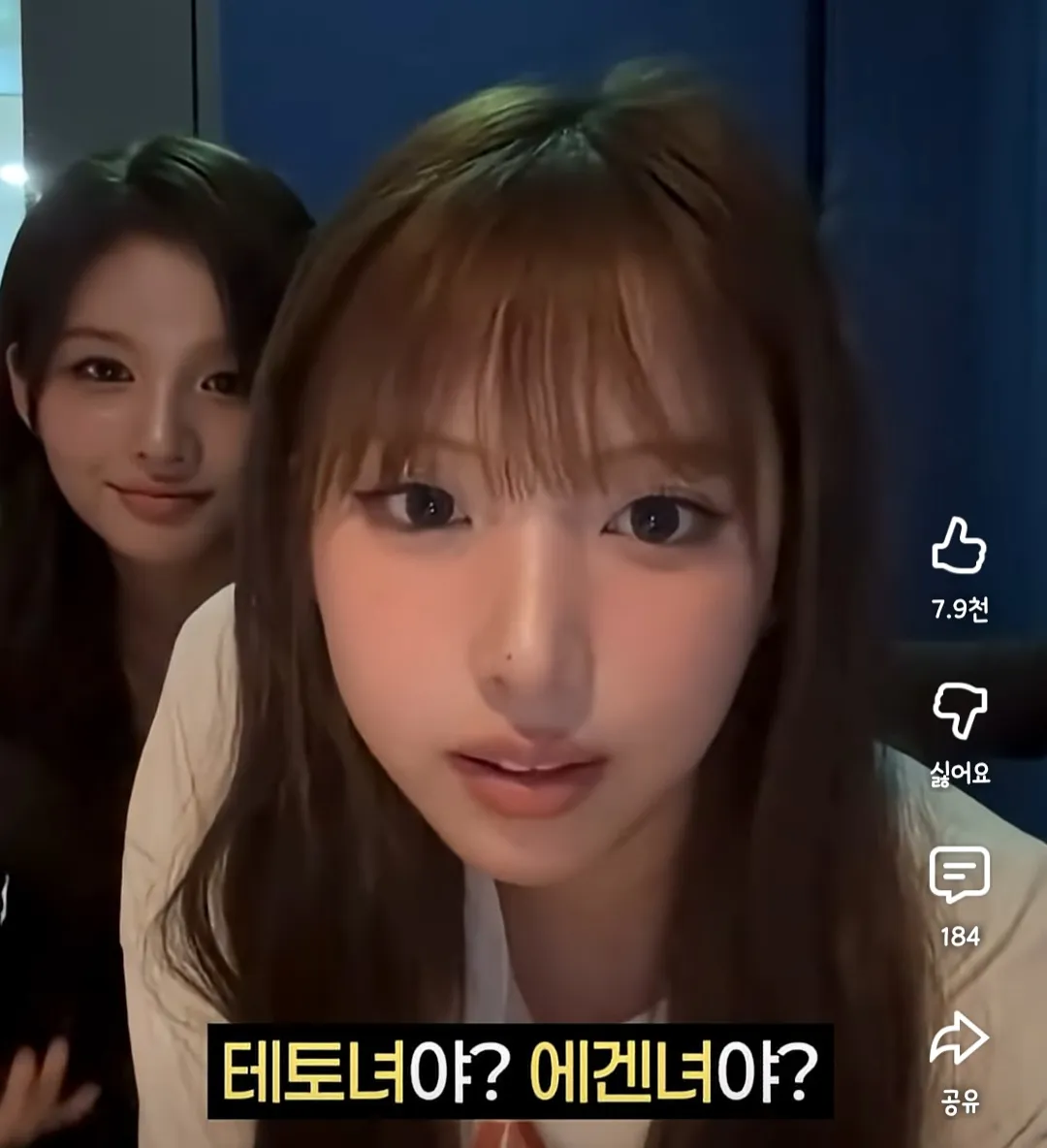 테토녀 에겐녀 1도 관심 없는 엔믹스
