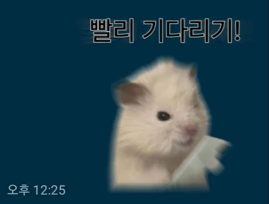 선릉권 ㅎㅍ 댓글 2