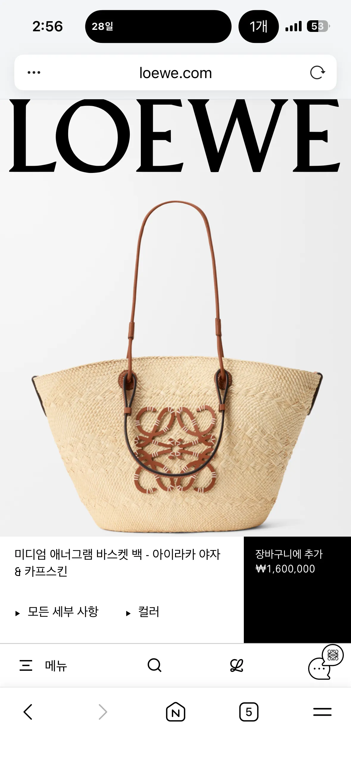 이런 라피아 백 들고계신언냐들2