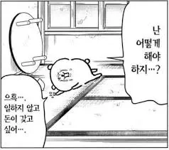 와 생리컵 써보는데