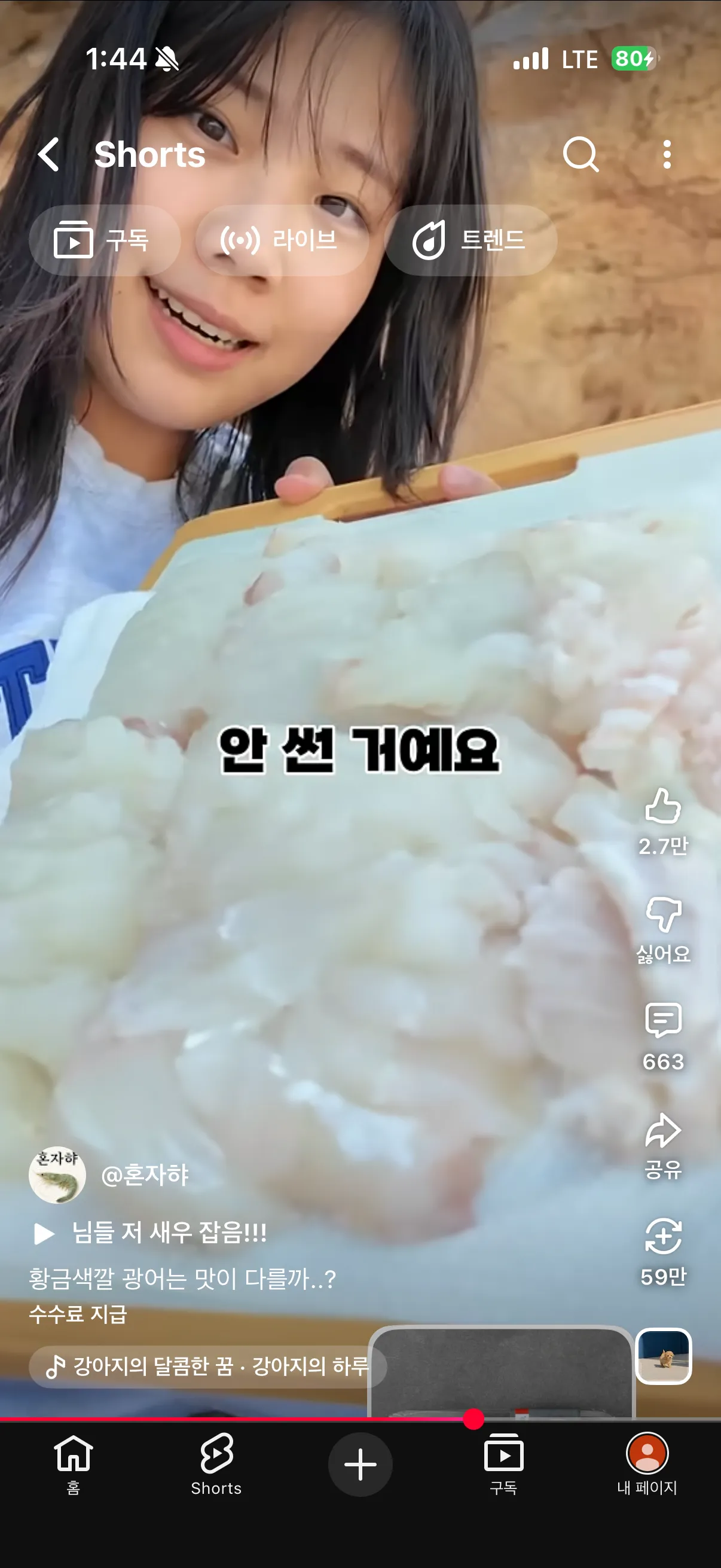 언니들 쇼츠유튜버 3명 추천 해드릴게요