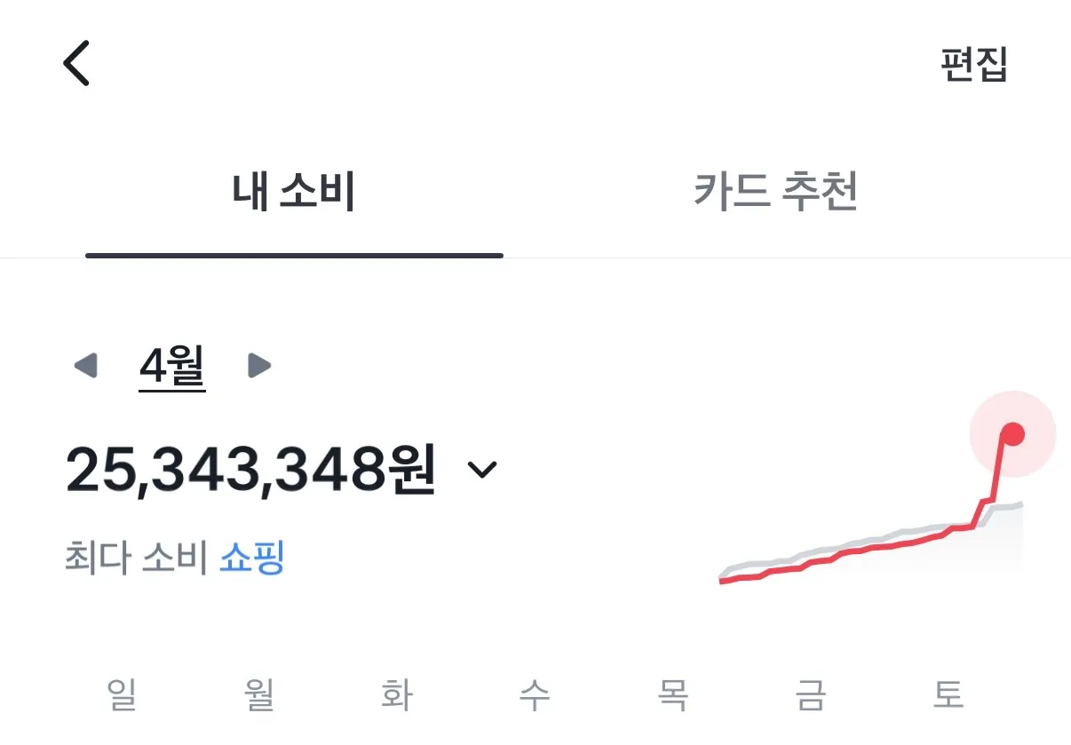 수입 대비 지출,,