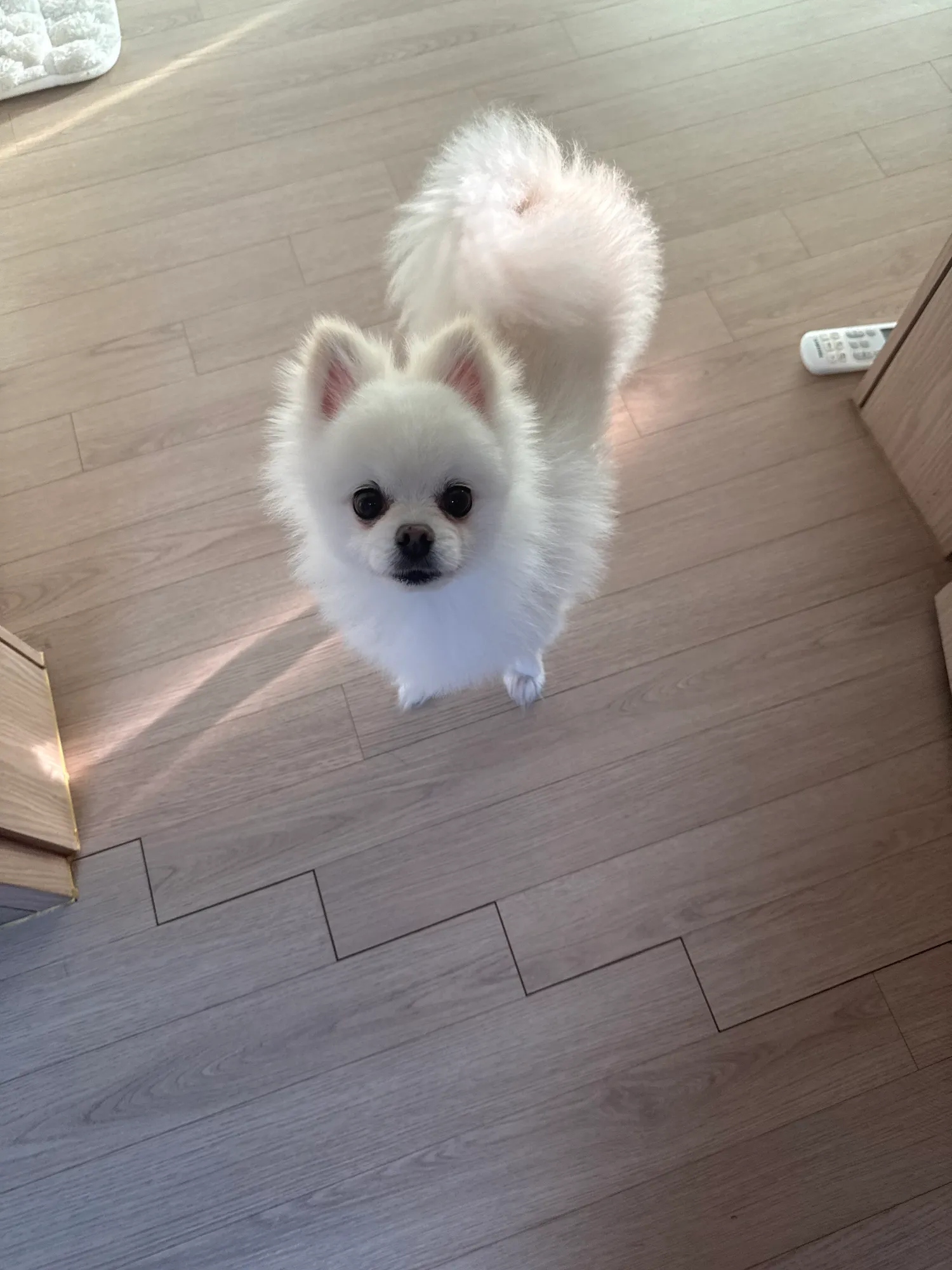 부산 1등가게 팁 제일많이 터지는 룸싸롱