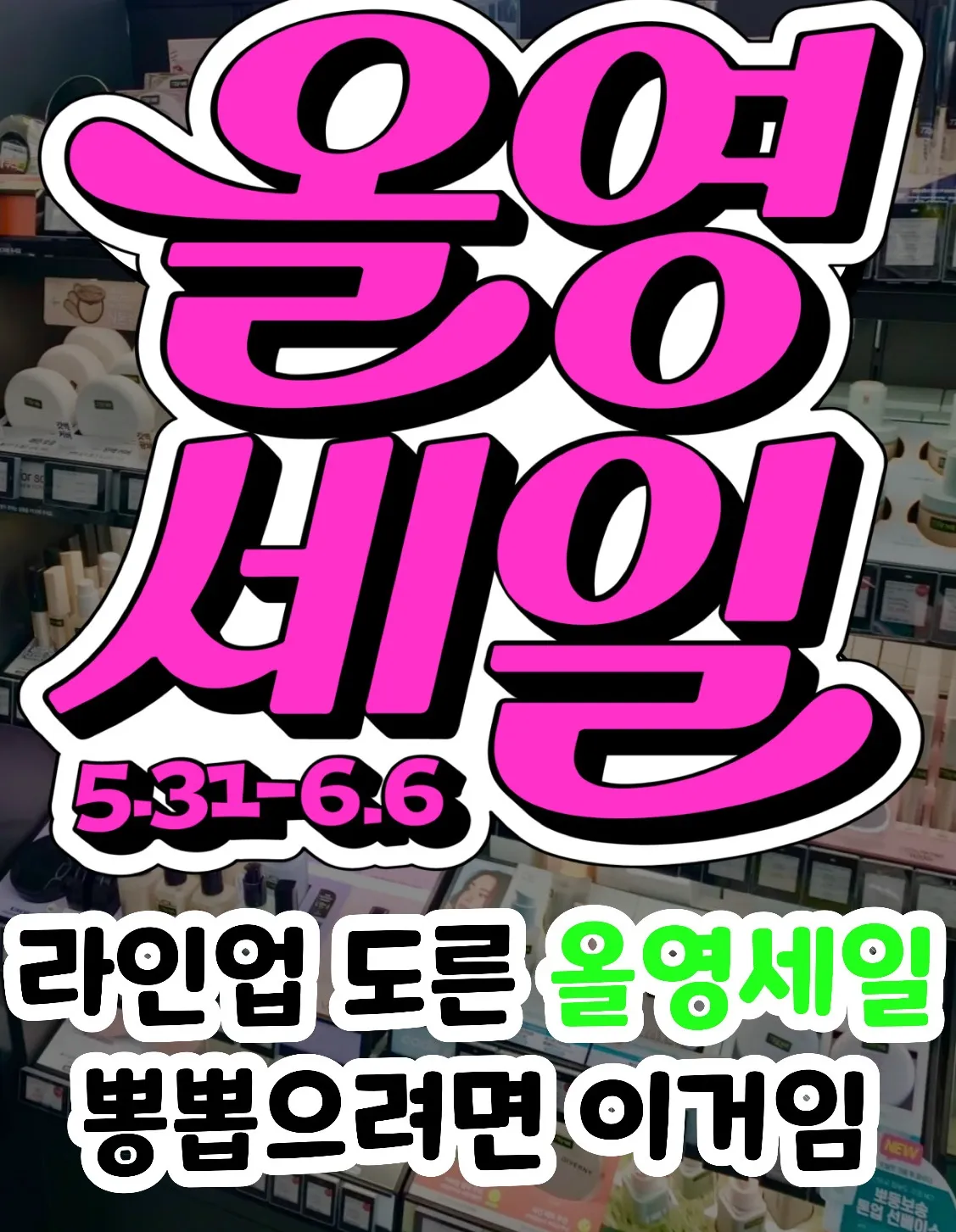 올영세일 템 모음
