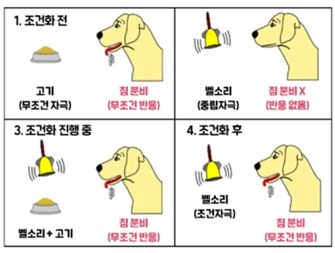 언니들이 요즘 좆반인이나 입문자글 보면