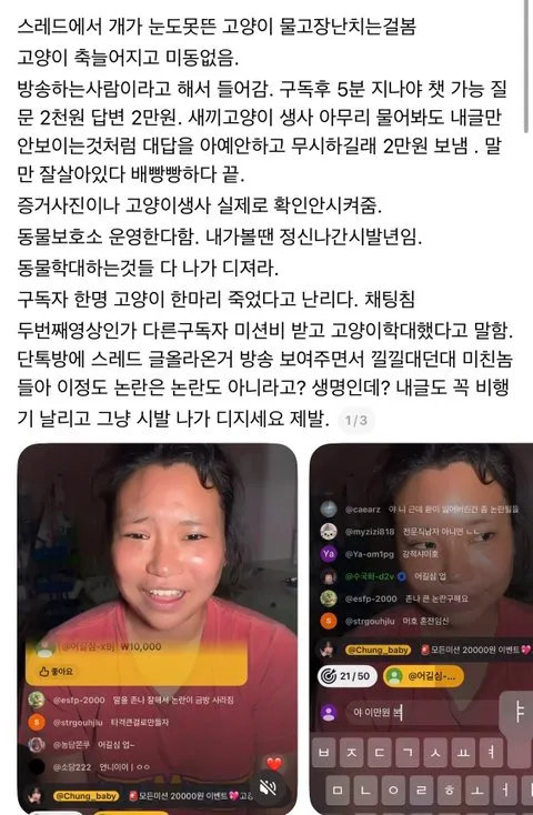 샤머ㅎ 동물학대논란