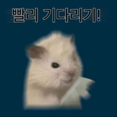 일기예보 아저씨 댓글