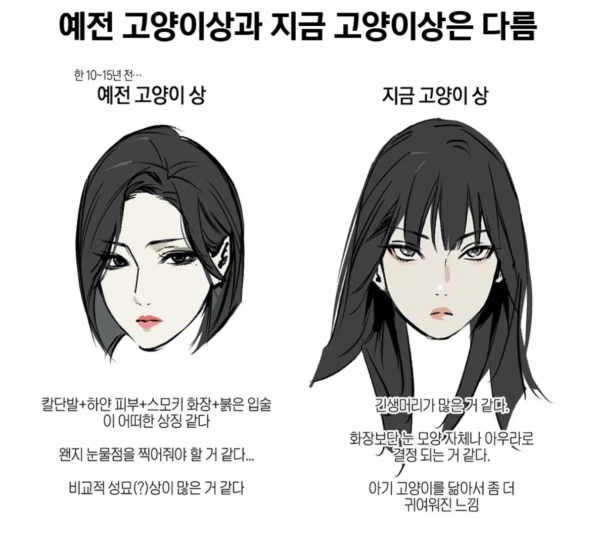예전고양이상vs지금고양이상