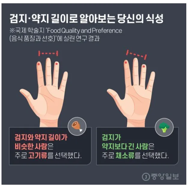 손가락 길이로 알아보는 식성