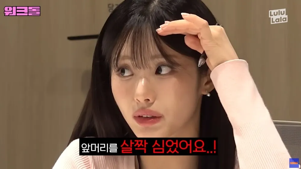언니들