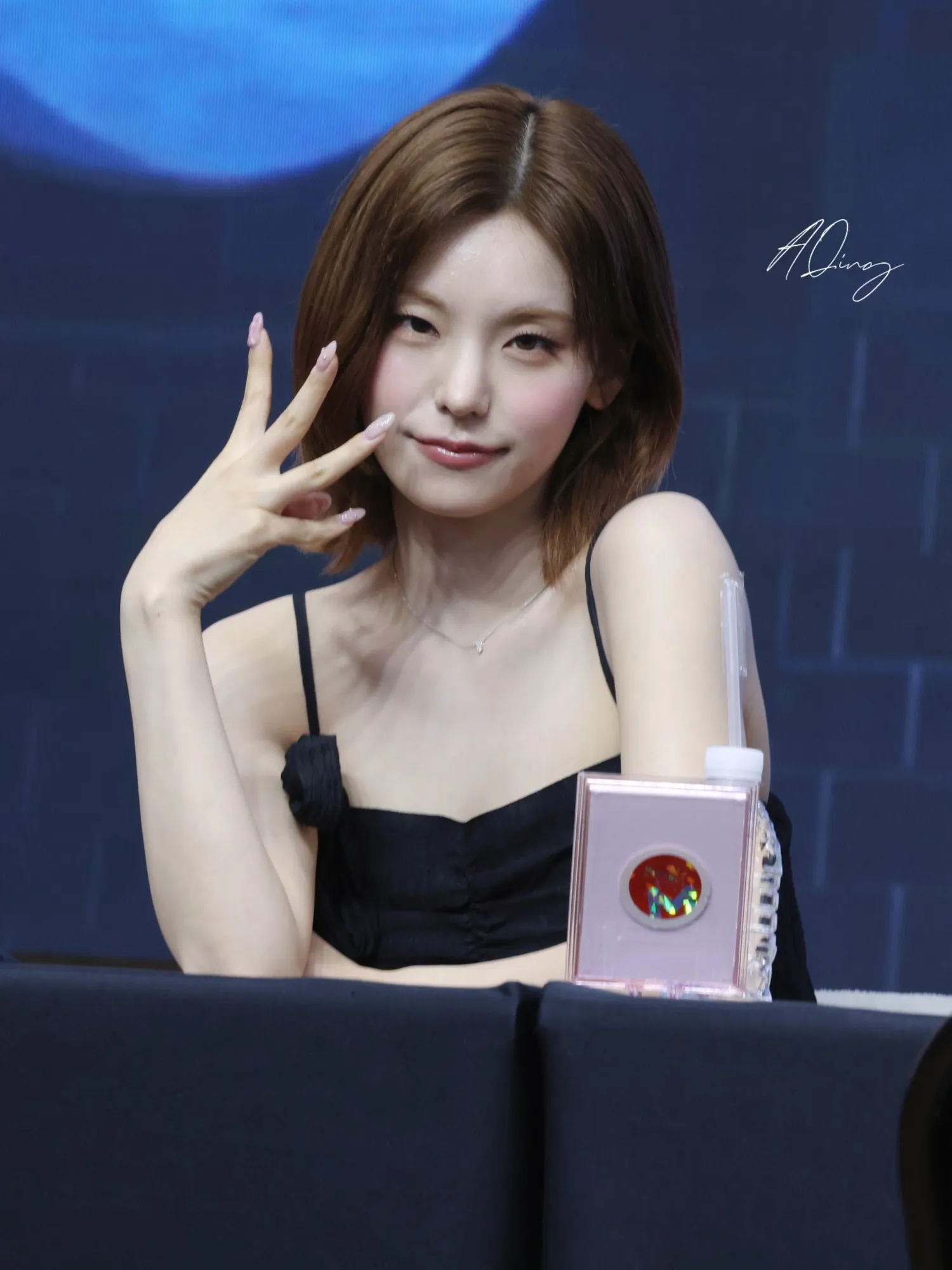 언니들 예지