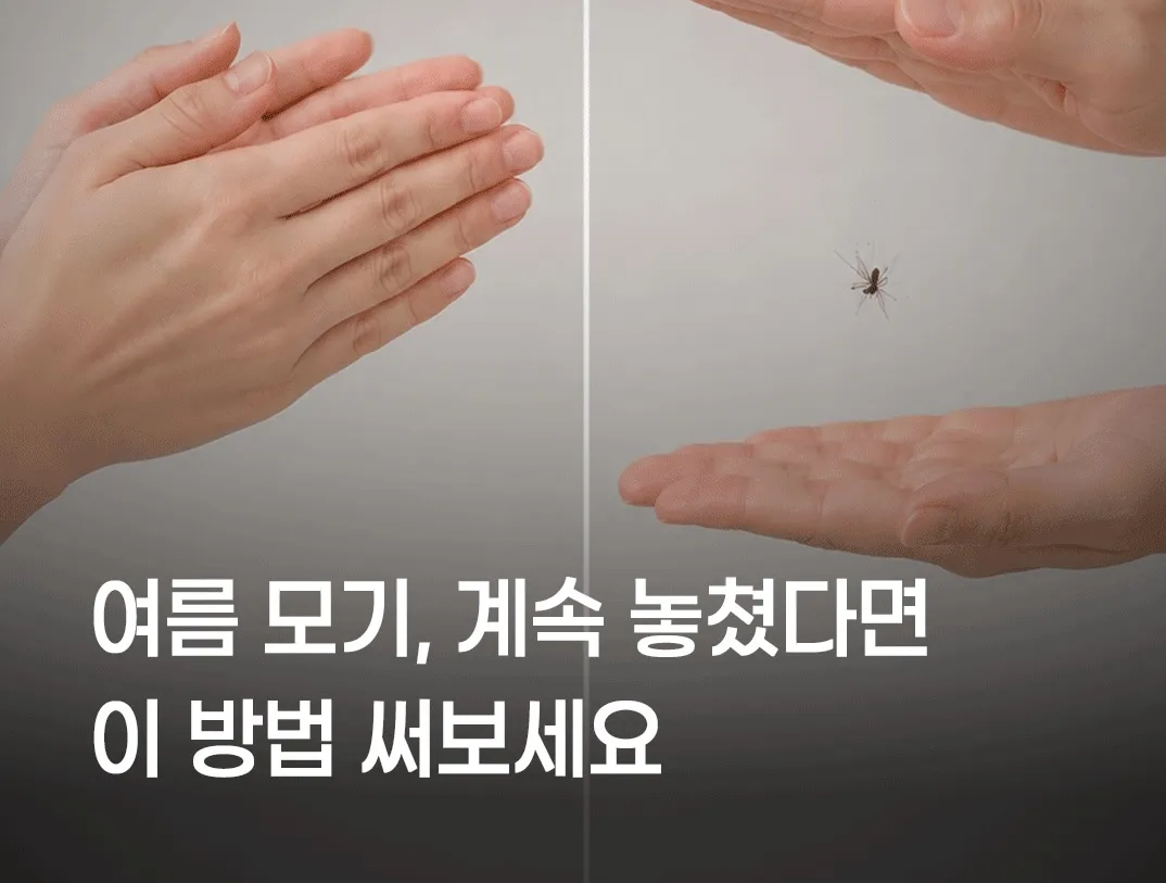 모기 쉽게 찾는법