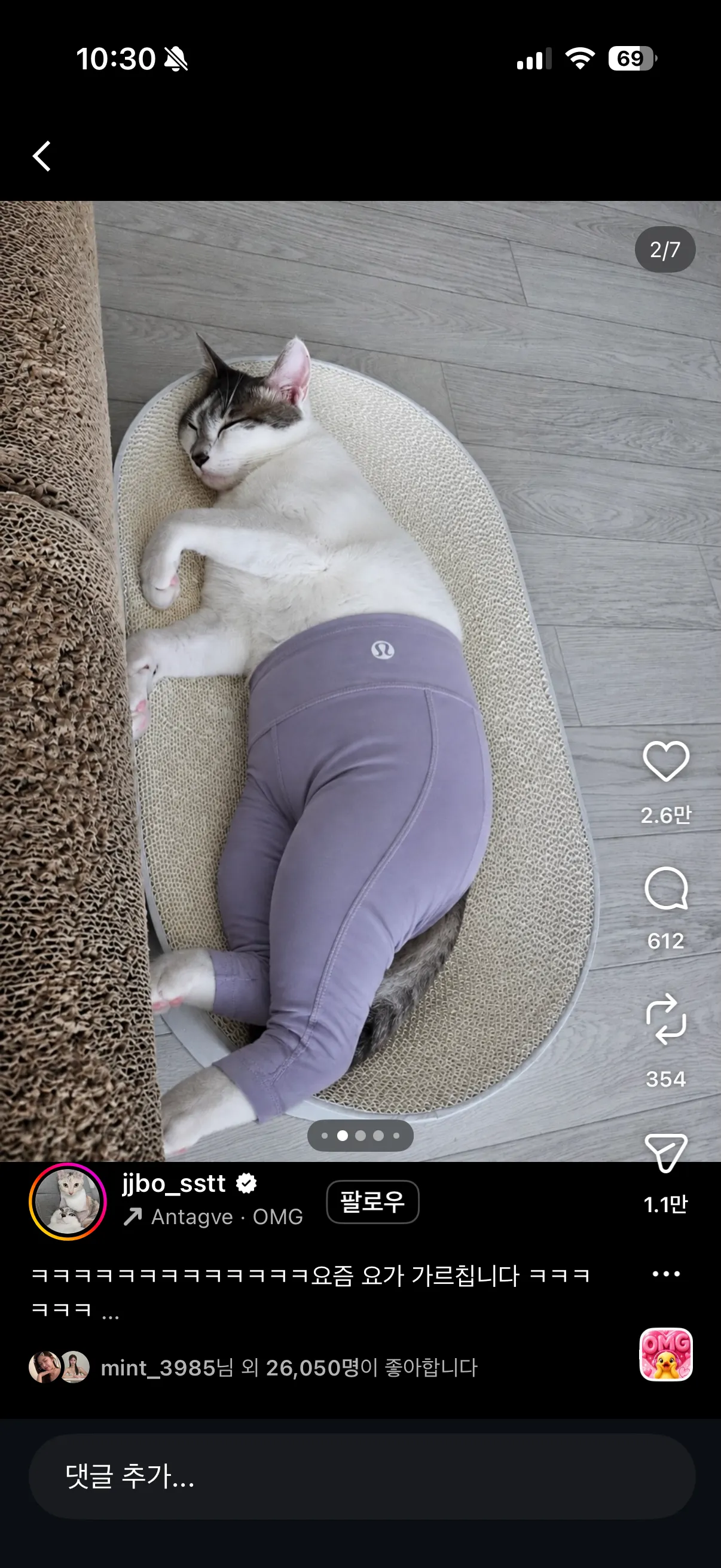 졸라기여움2
