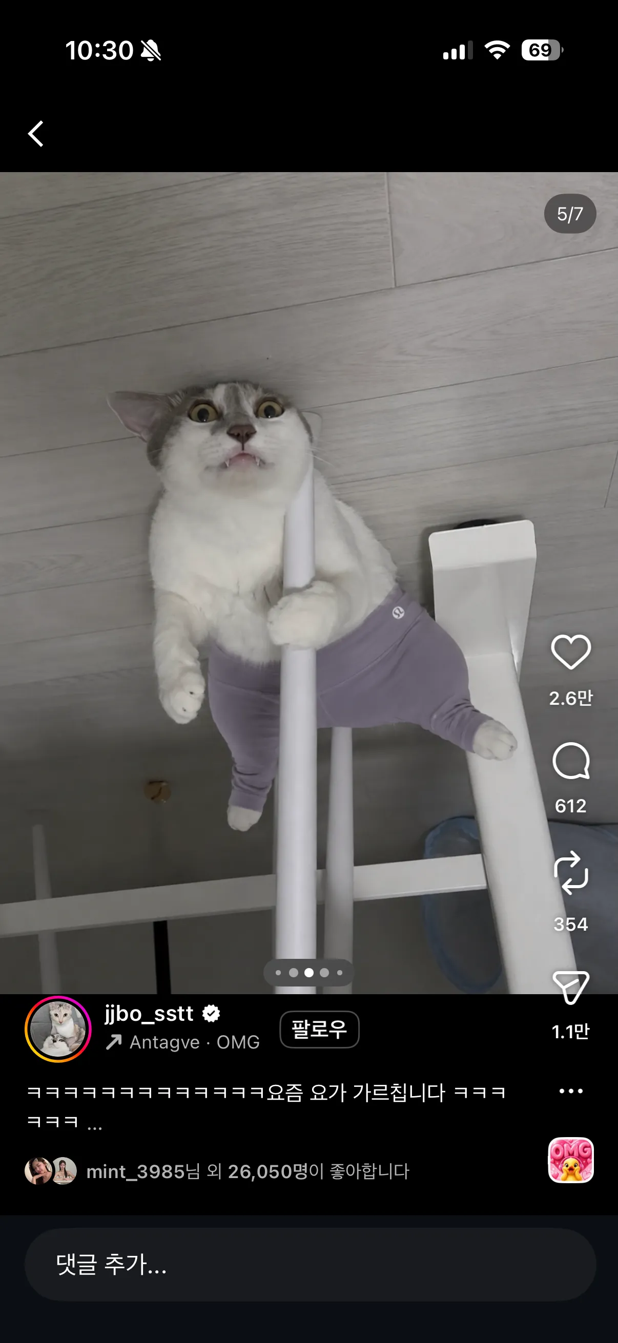 졸라기여움4