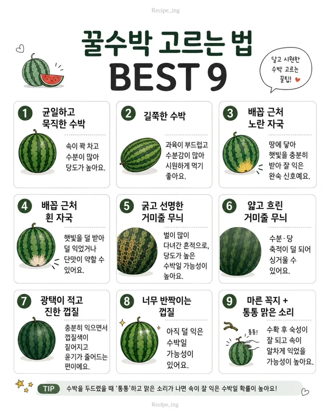 꿀수박 고르는 꿀팁