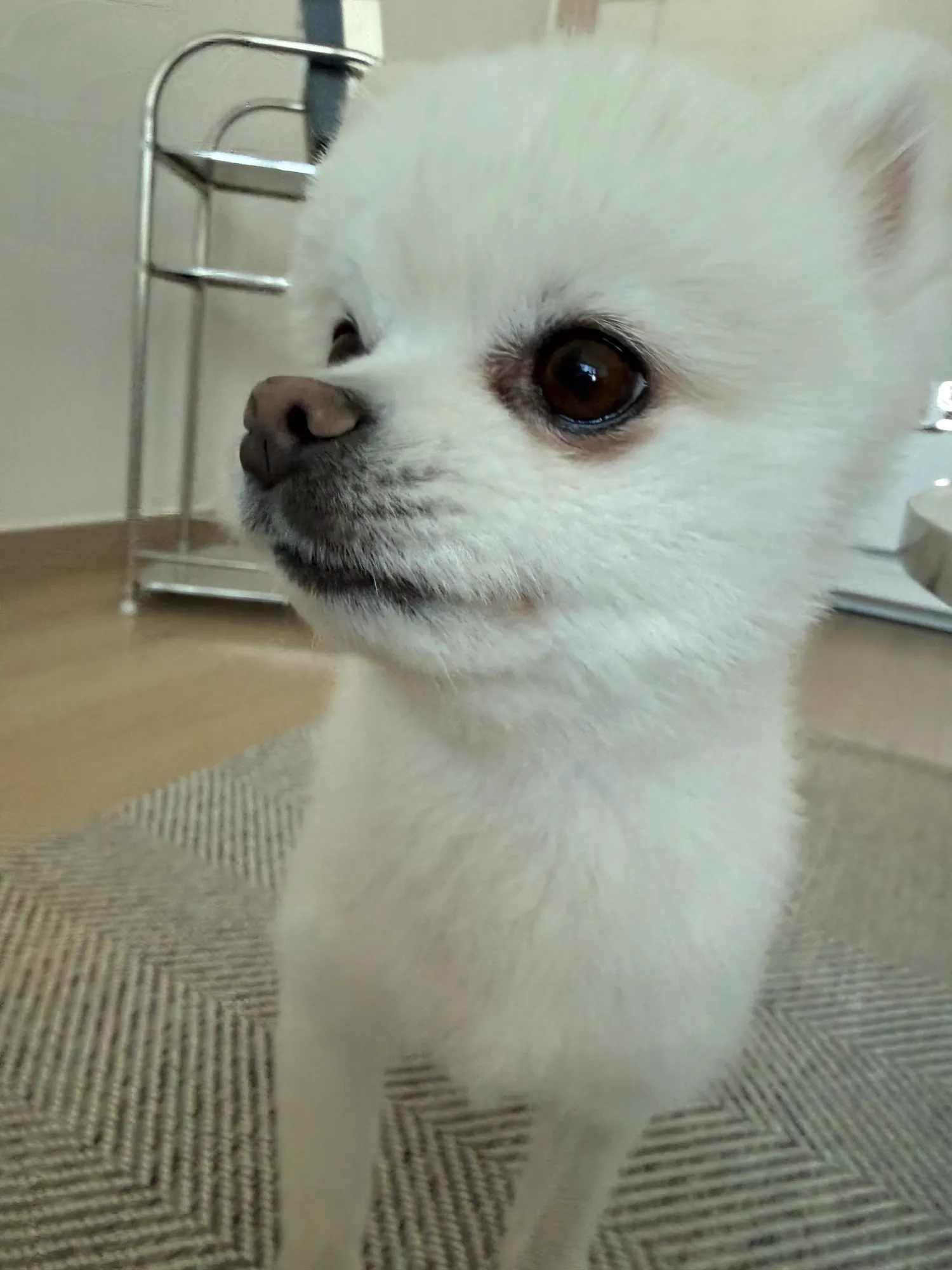 부산 1등가게 팁 제일많이 터지는 룸싸롱