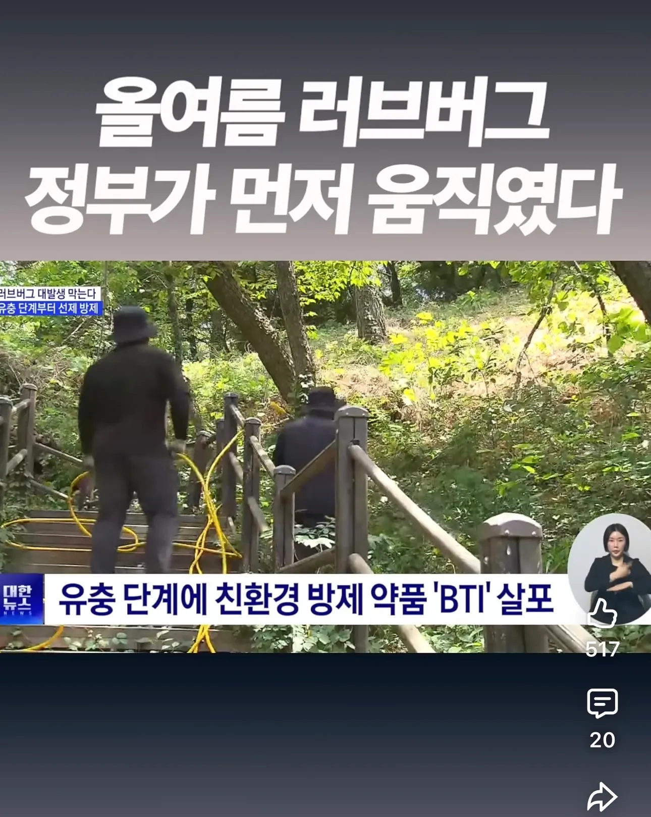 올여름도 뭔가 러브버그 많을거 같아요..ㅜ