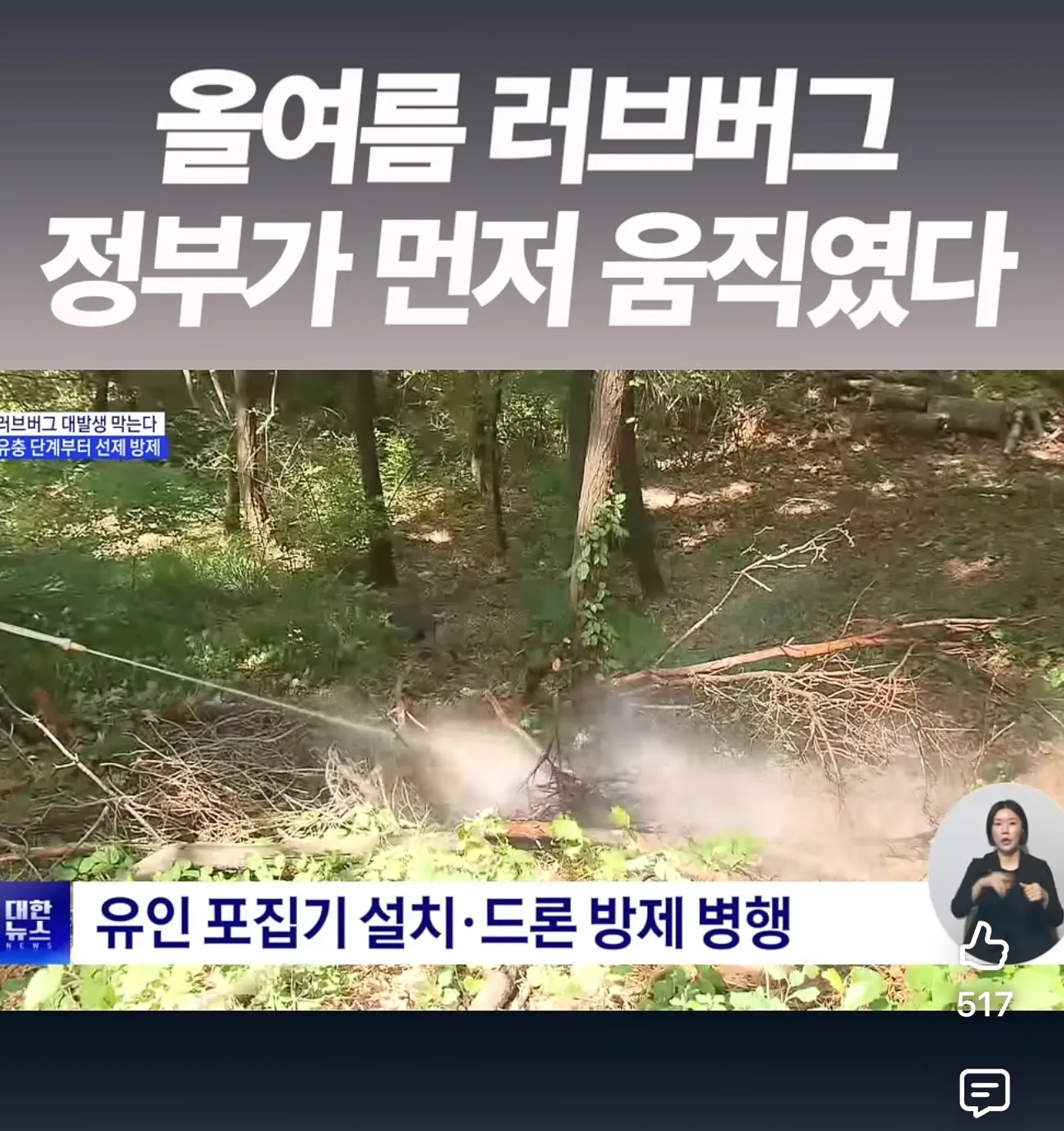 올여름도 뭔가 러브버그 많을거 같아요..ㅜ2
