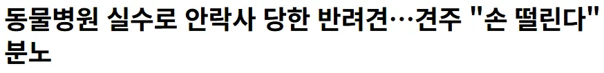 동물병원 실수로 안락사 당한 반려견