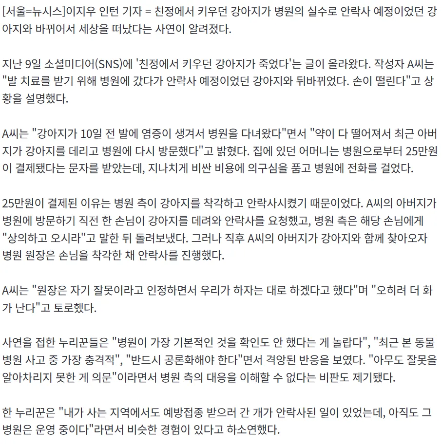 동물병원 실수로 안락사 당한 반려견3