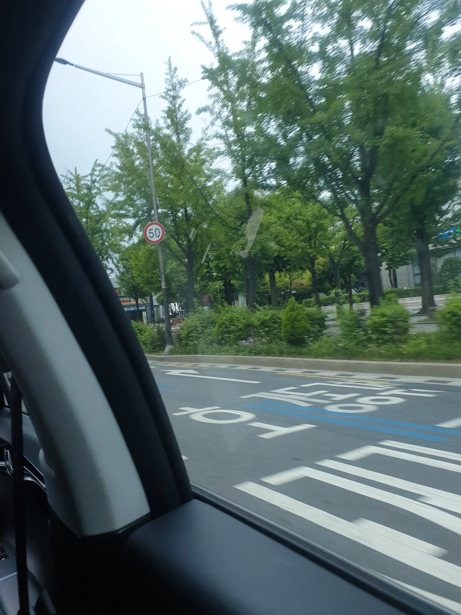 토요일 ㅅㄹ 댓글