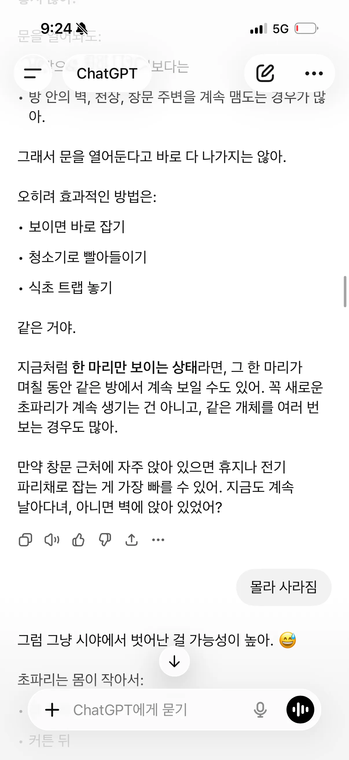 아까 바나나 초파리