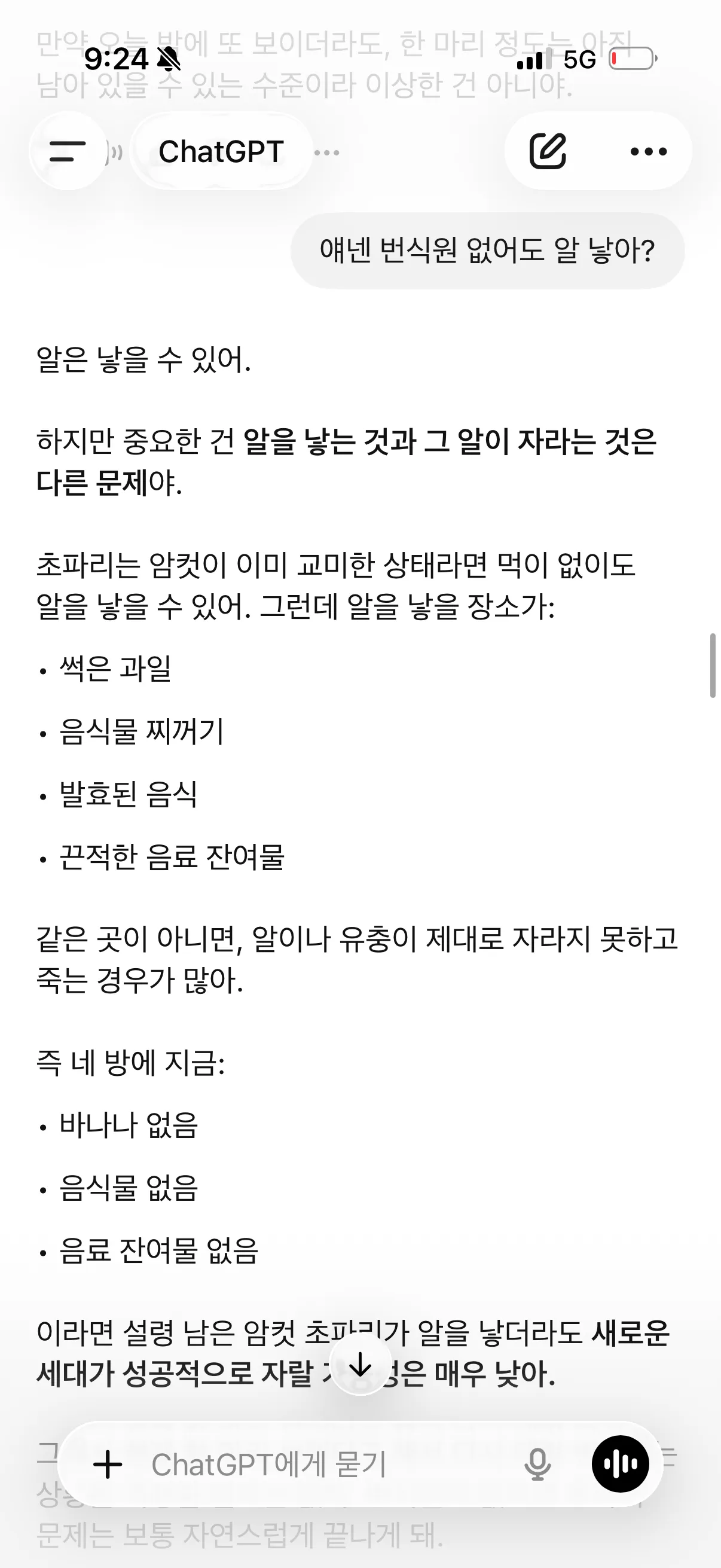 아까 바나나 초파리2