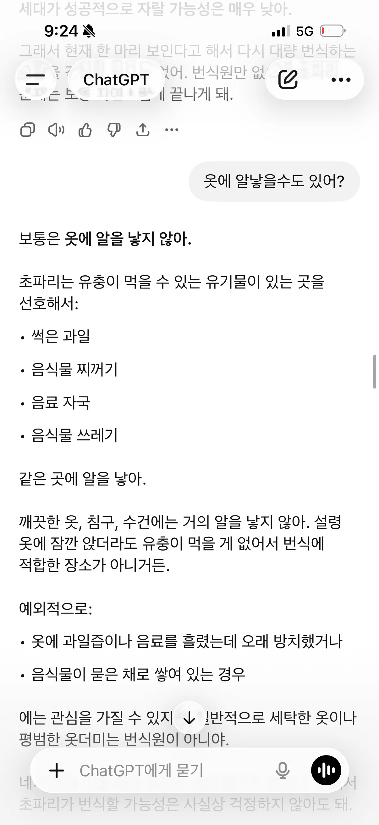 아까 바나나 초파리3