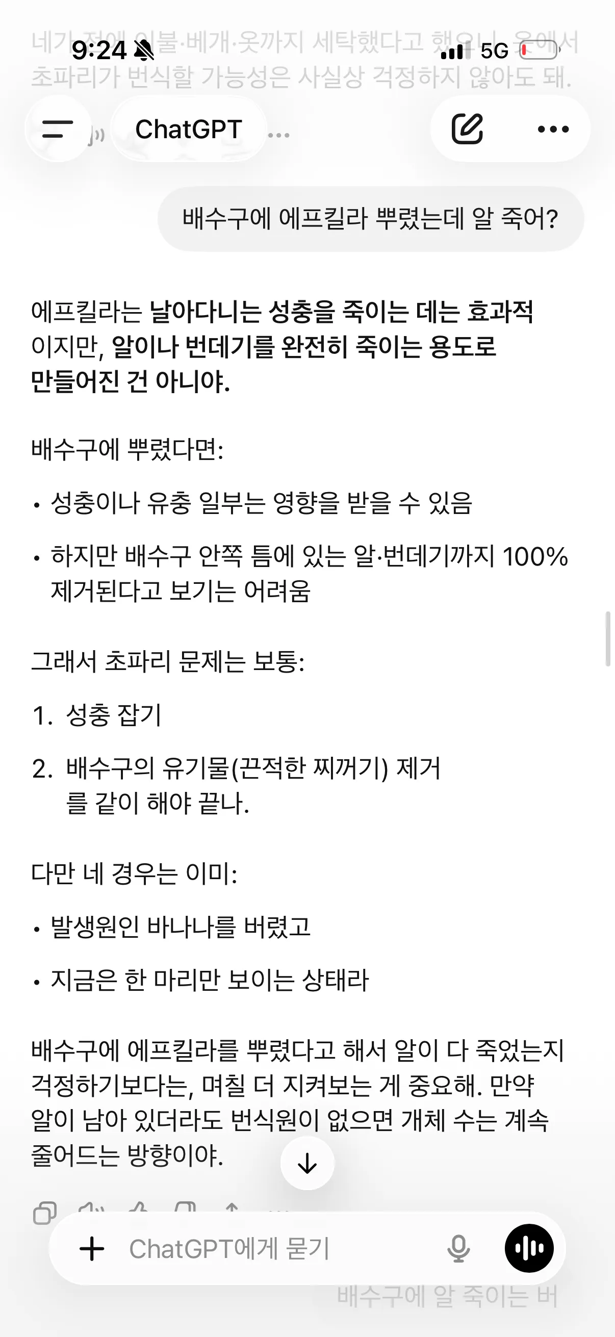 아까 바나나 초파리4