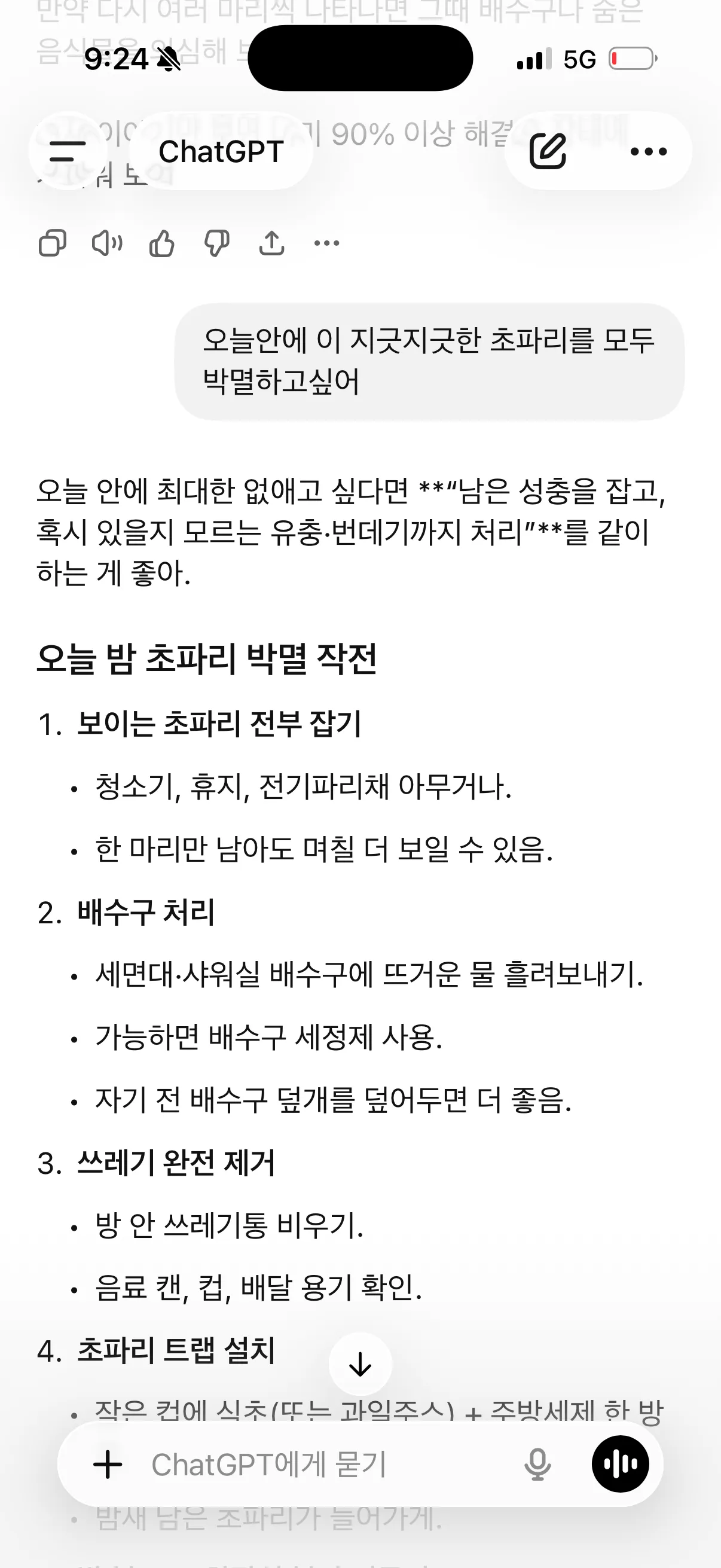 아까 바나나 초파리5