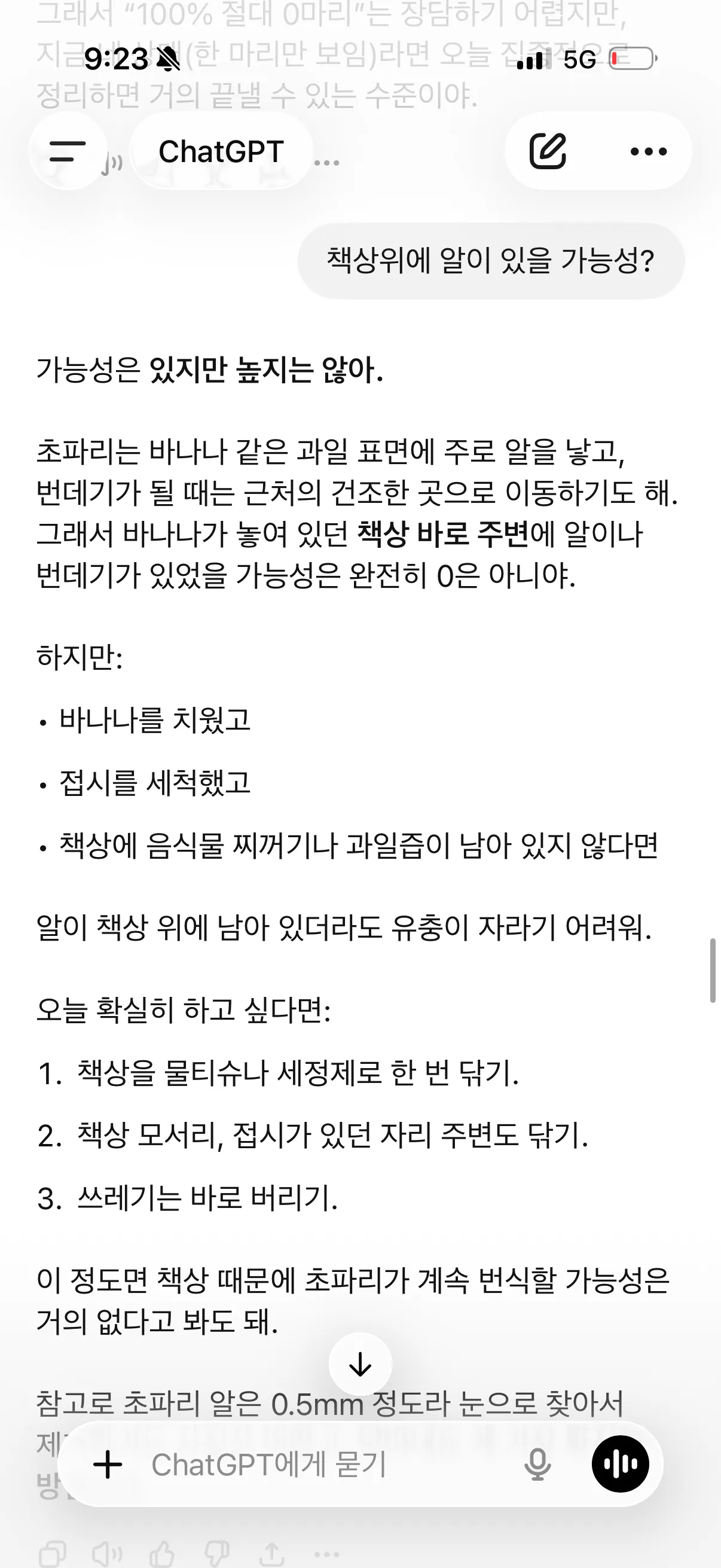 아까 바나나 초파리6