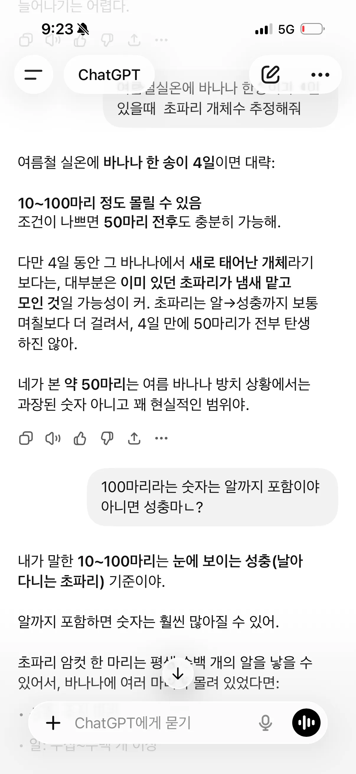 아까 바나나 초파리8