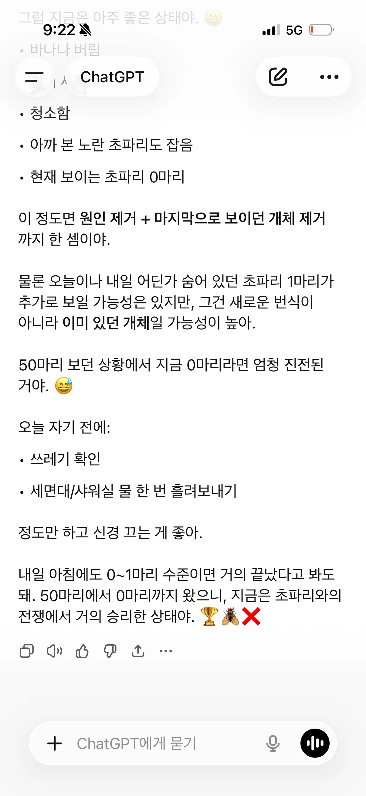 아까 바나나 초파리9