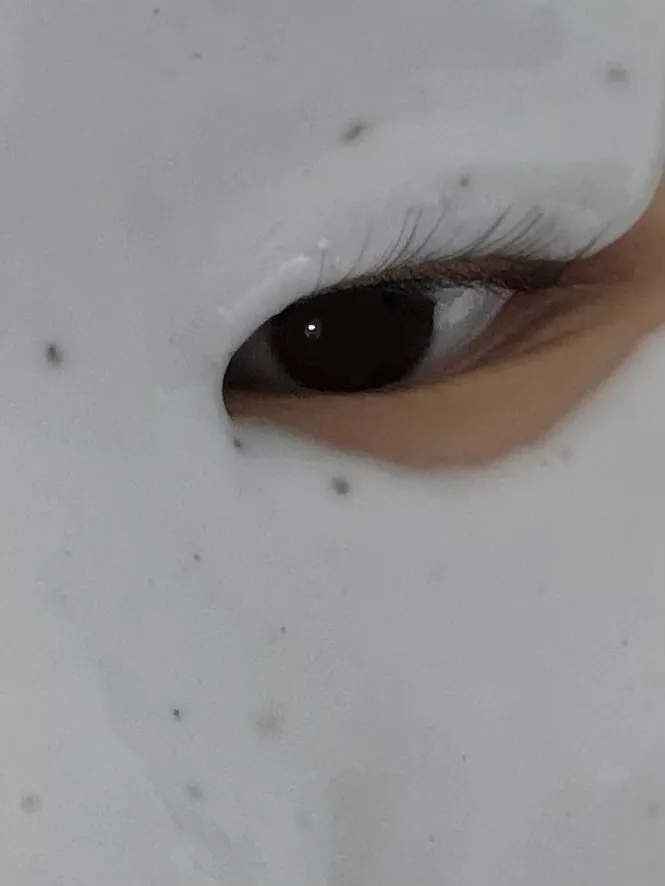 모델링팩