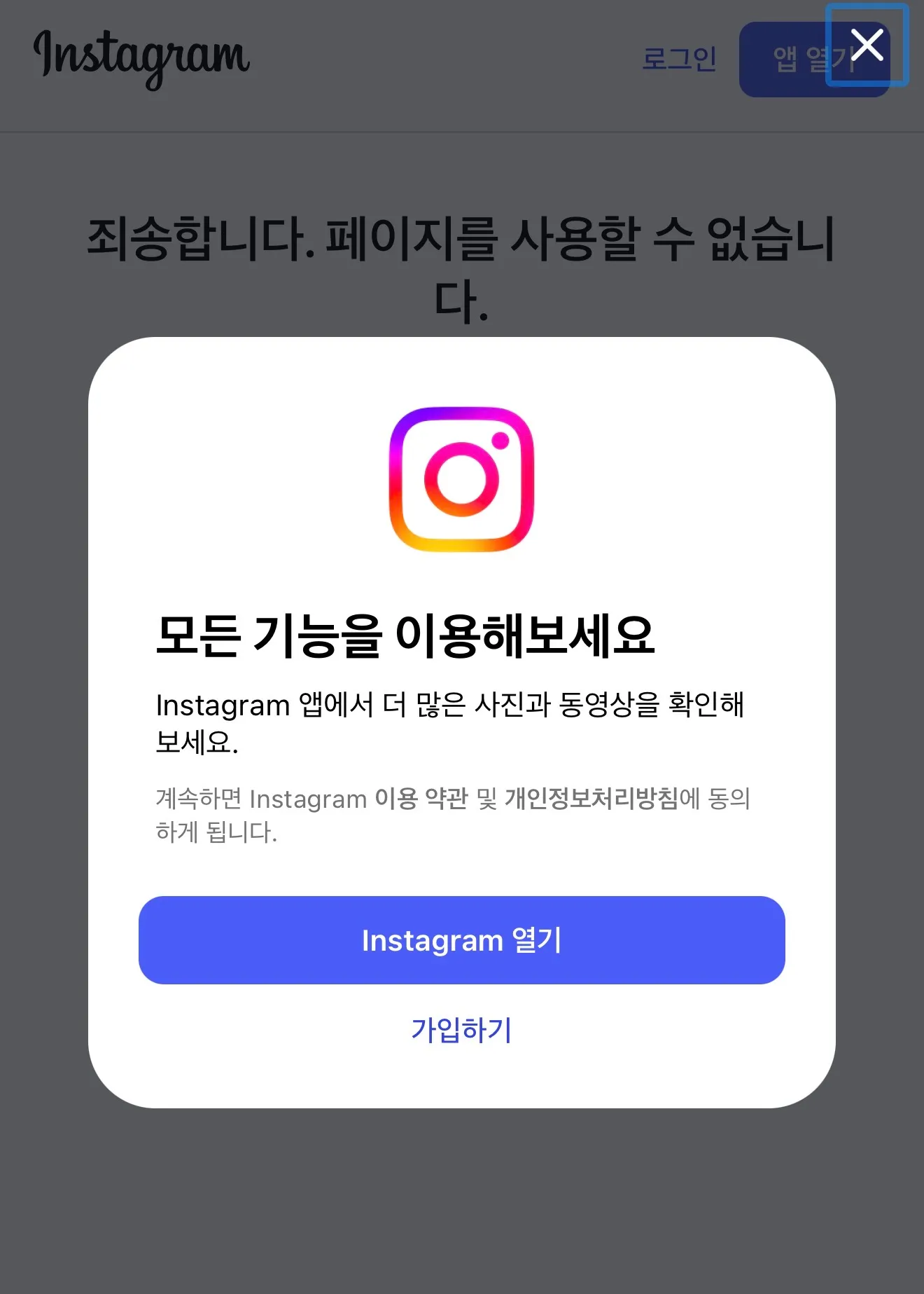 인스타