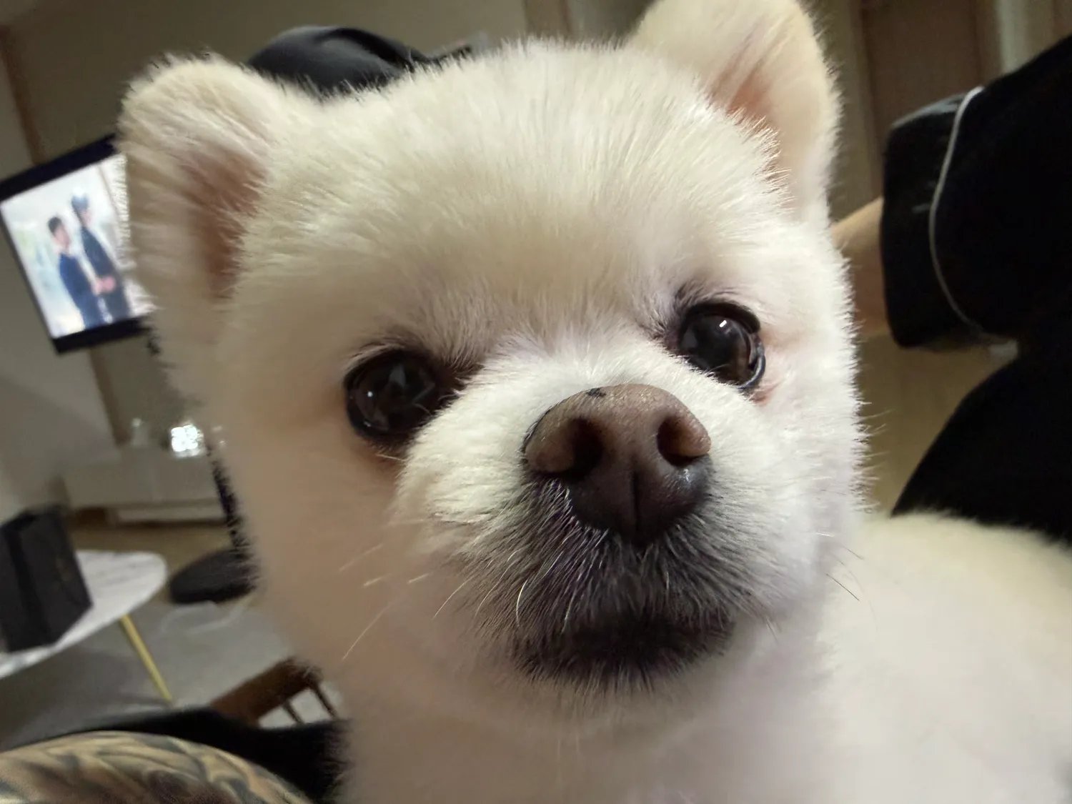 부산 1등가게 팁 제일많이 터지는 룸싸롱