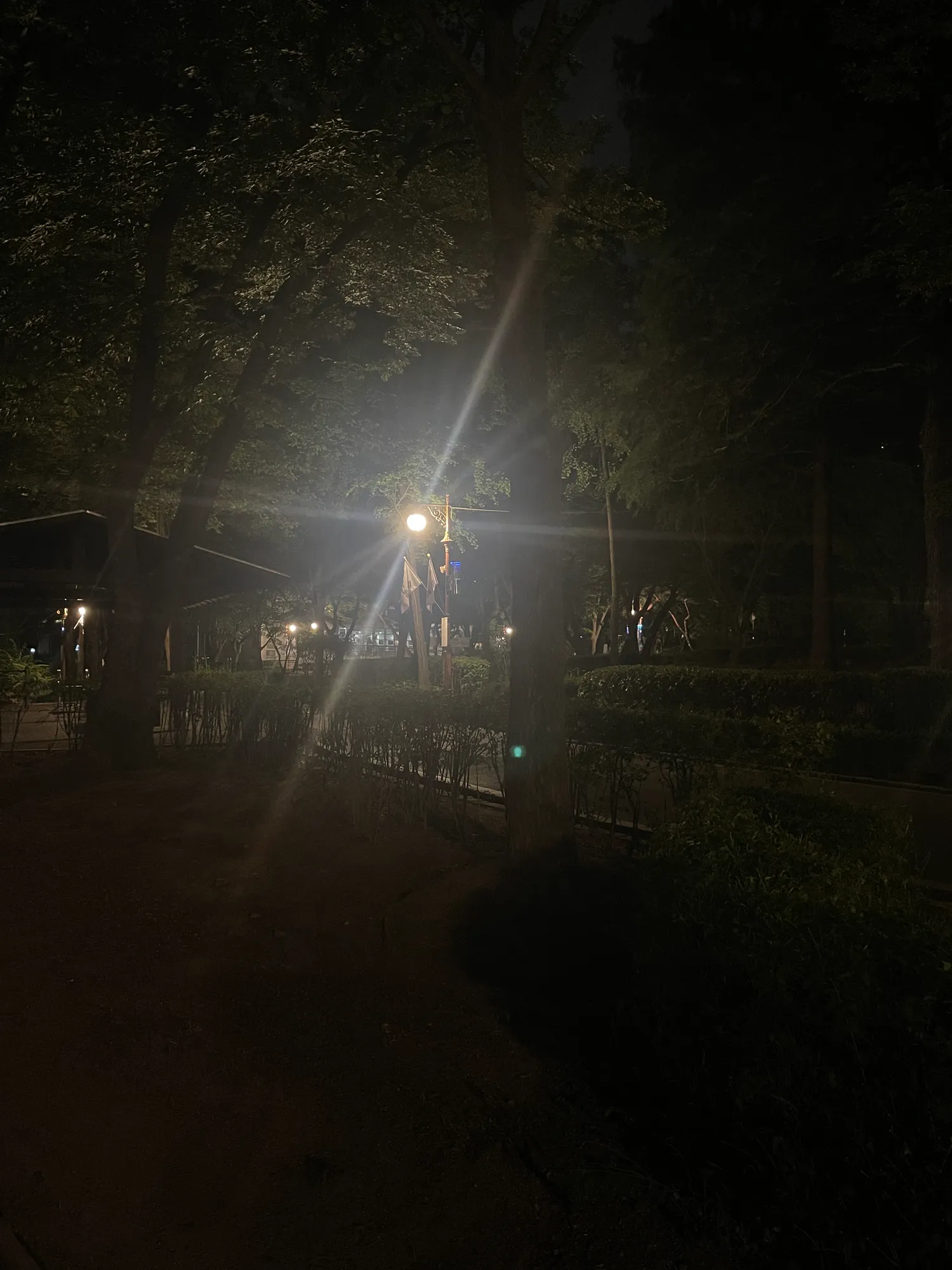 1부 후딱 하고 산책 왔어영