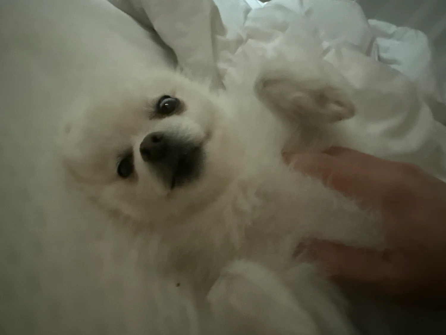 부산 1등가게 팁 제일많이 터지는 룸싸롱