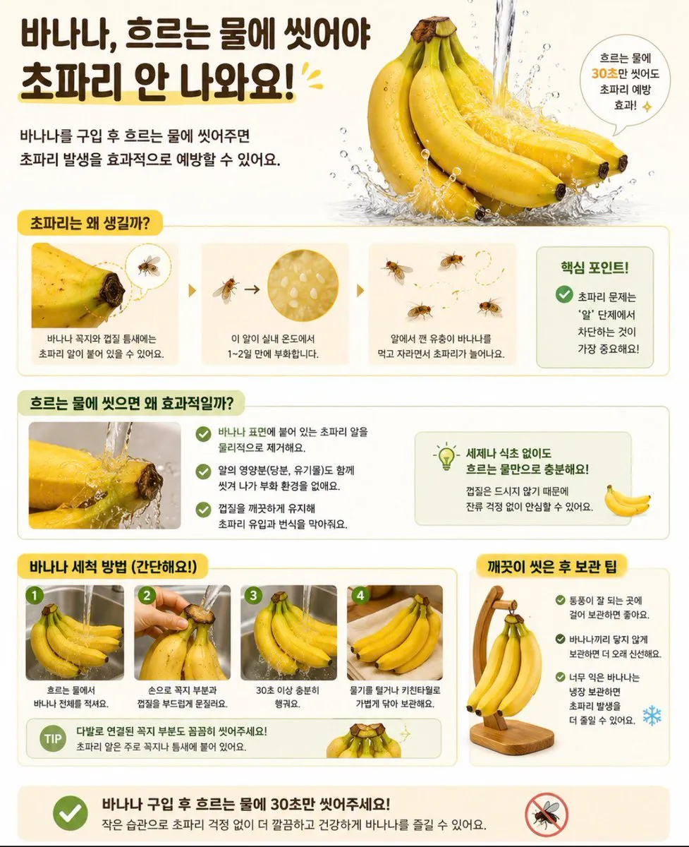 바나나에서 초파리 생기는거 방지하기