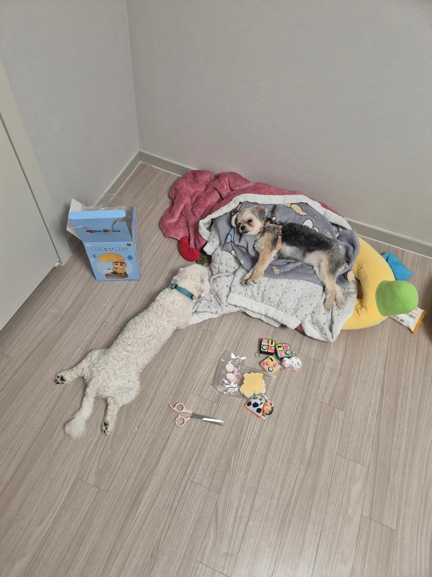 정신병으로 7개월에 1억날림 댓글 2