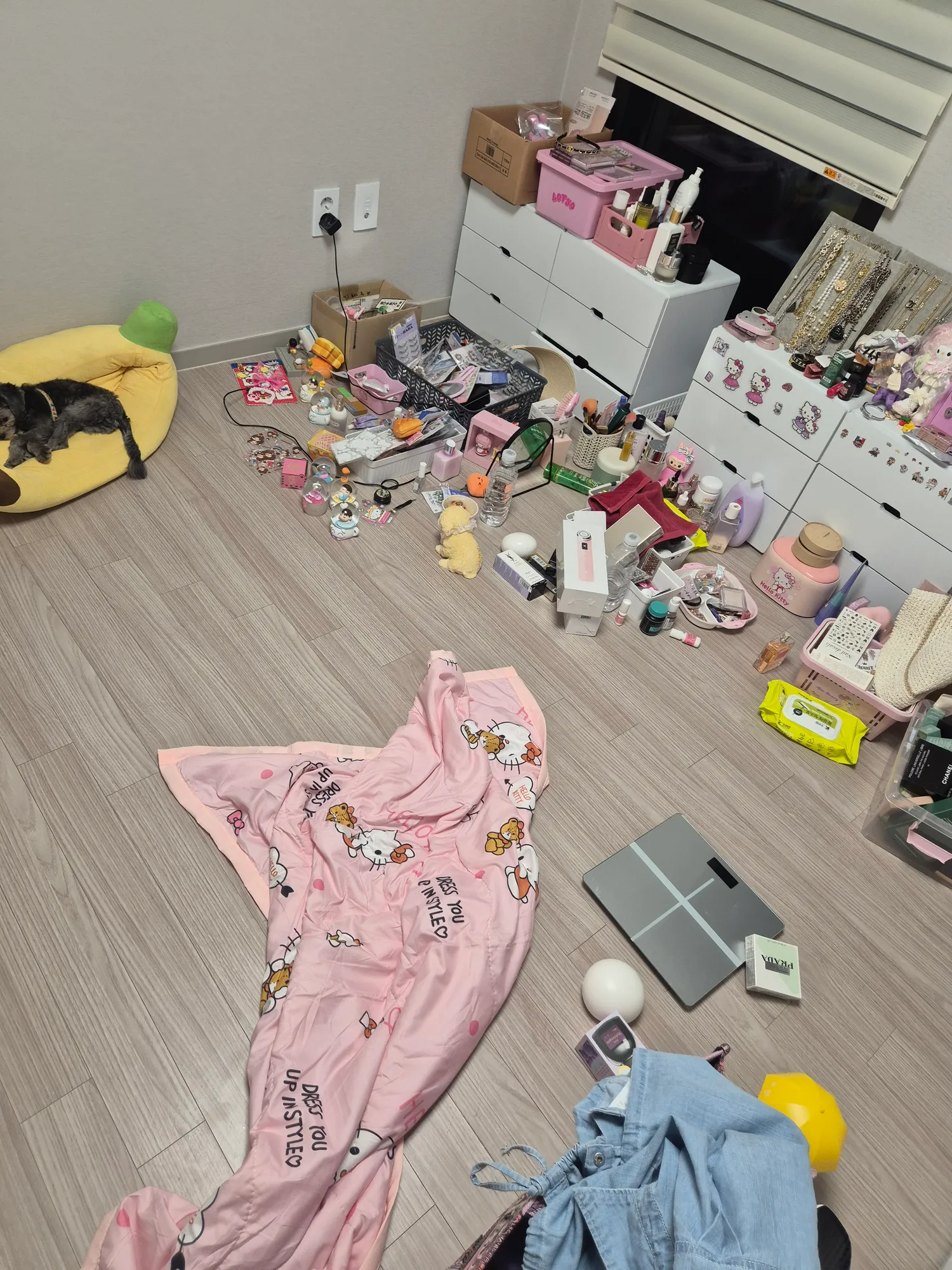 정신병으로 7개월에 1억날림 댓글 3