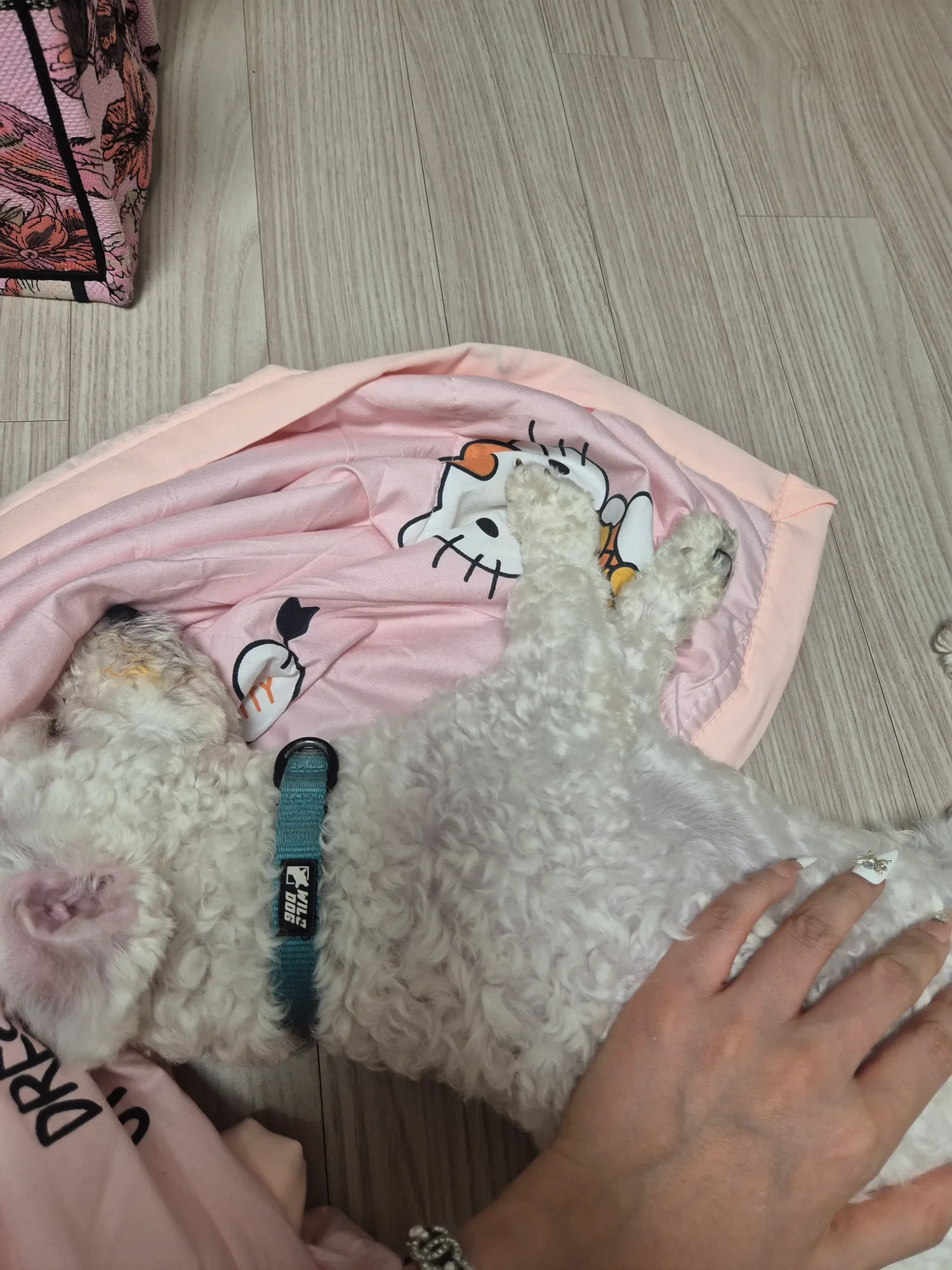 나도편히걱정없이자보고십어요
