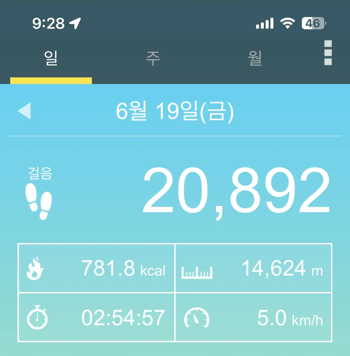 오늘 산책끝