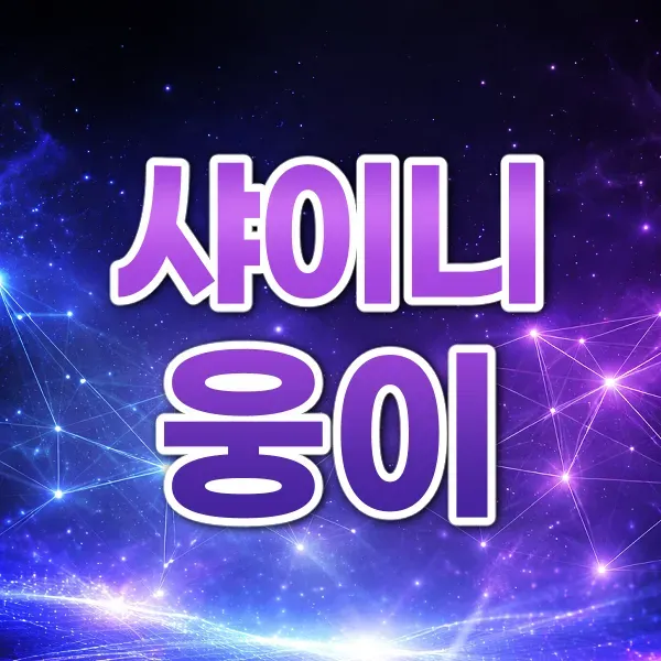 강남 유일한 (샤이니)정통퍼블릭! 수위X  에덴 노아 다소다 드라마 제우스 BAR11