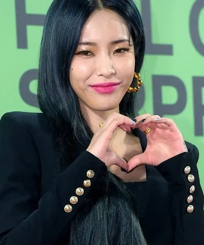 헤이즈 , 우정잉 , 리센느 원이 닮았다고 듣는데
