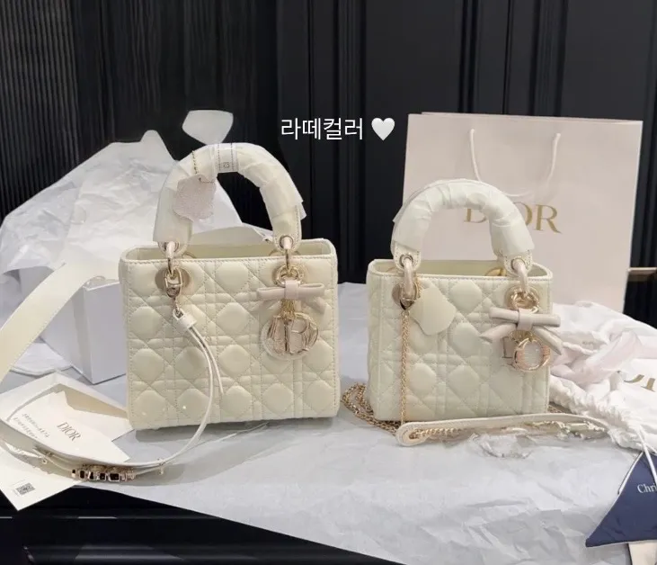 디올 레이디백2