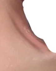 이런 살몬컬러섀도우
