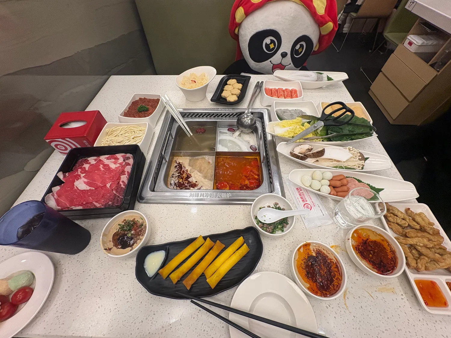 비도오규...