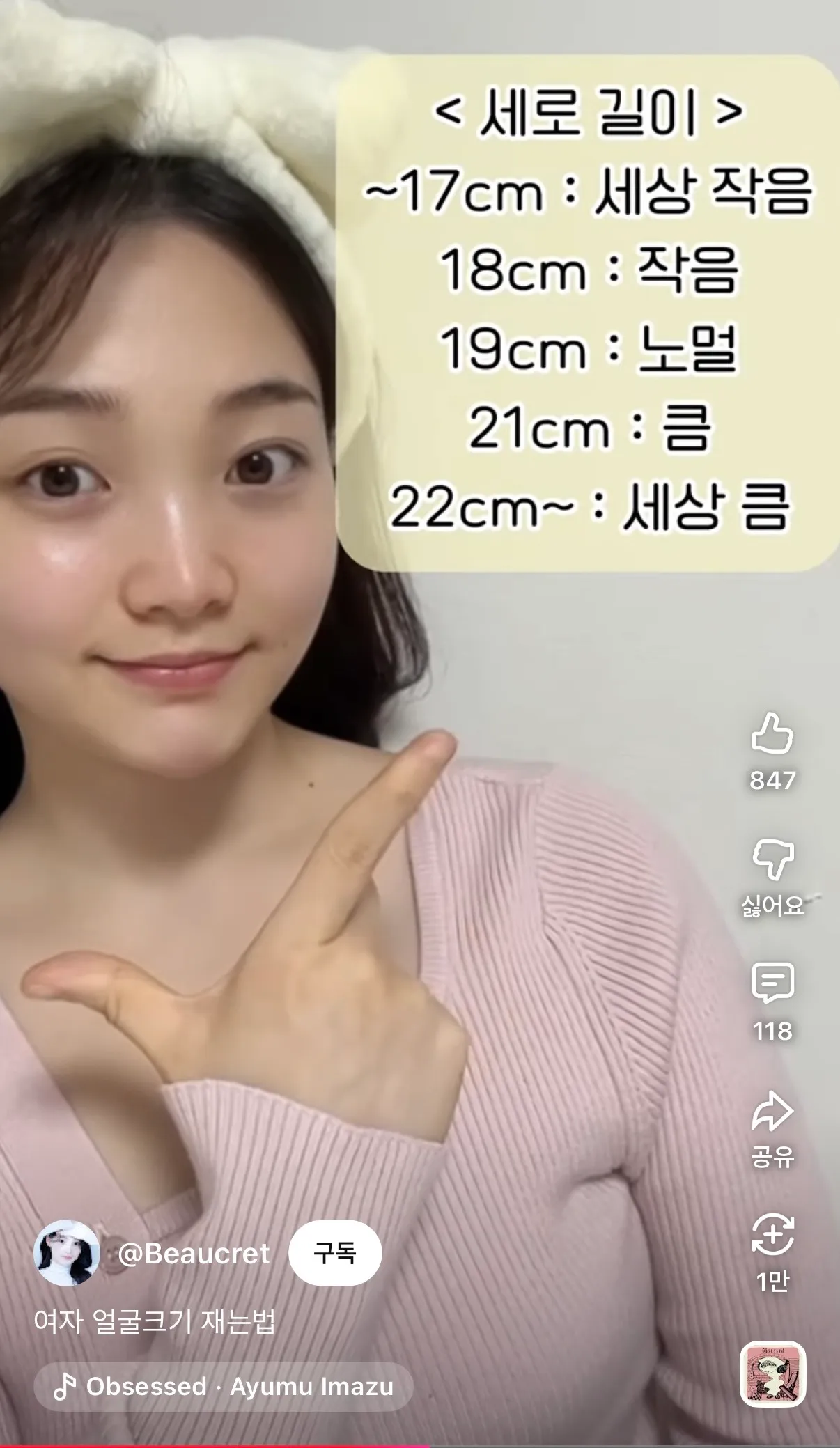 얼굴길이 댓글